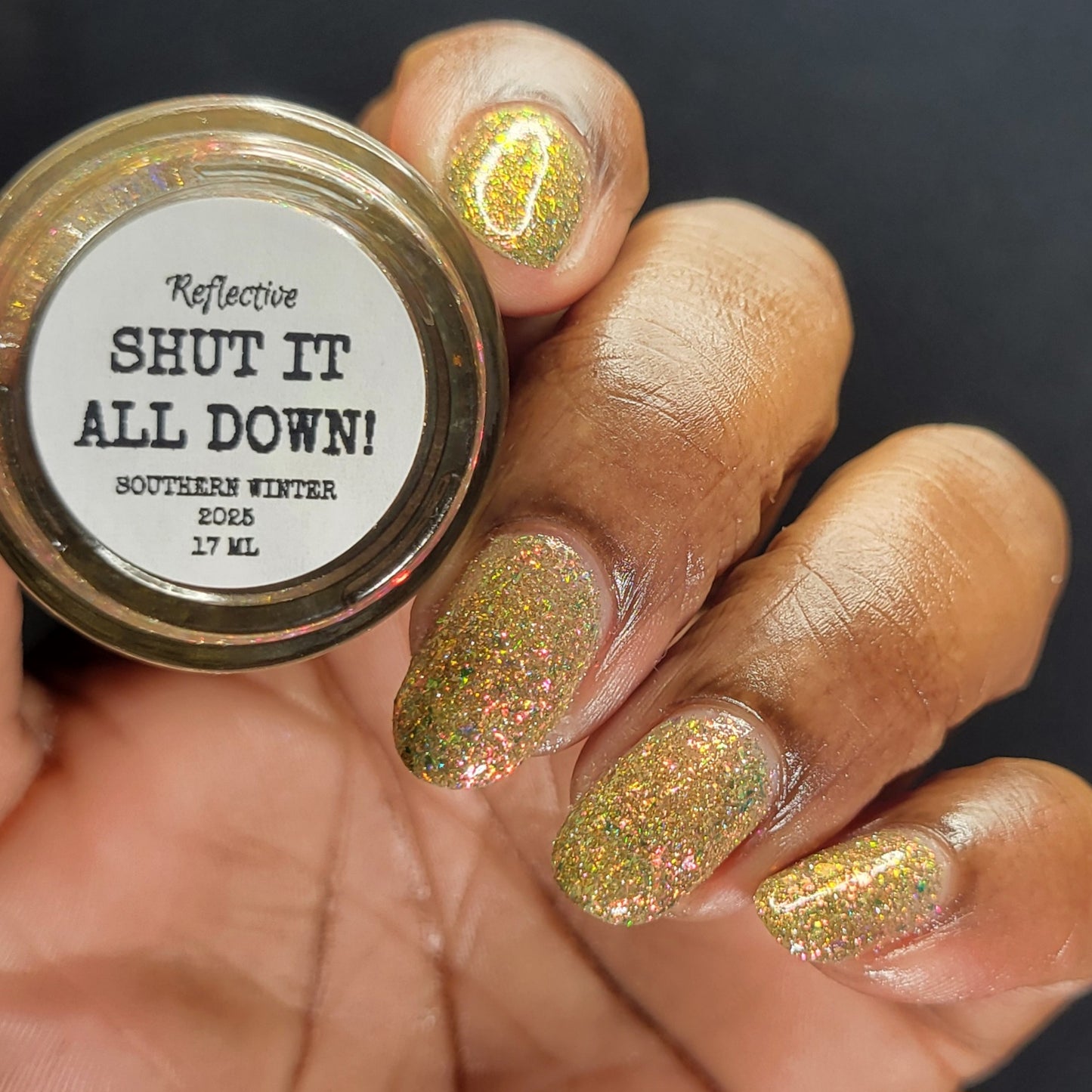 SHUT IT ALL DOWN (REFLECTIVE)