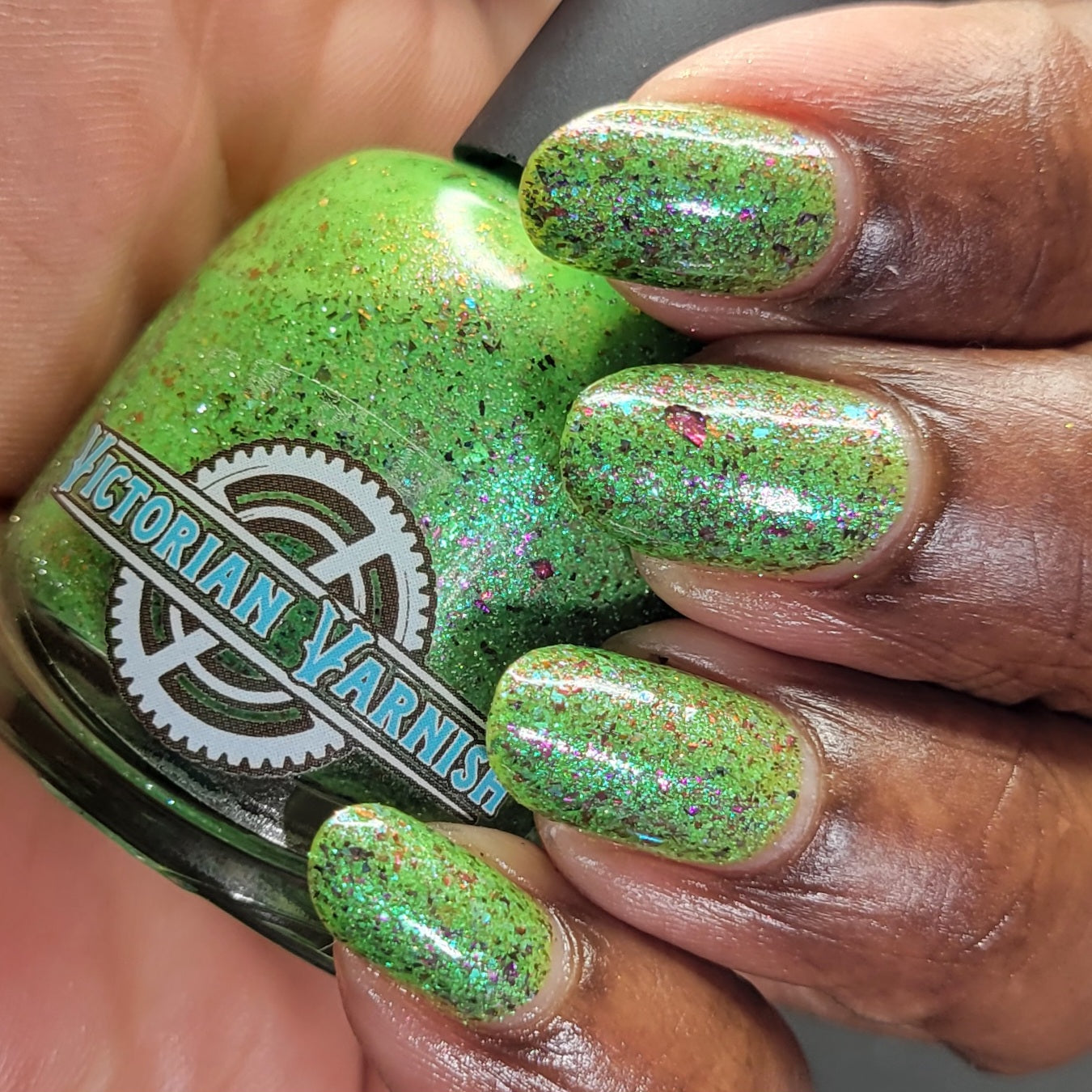 SPIKES & SCALES (Reflective) JUNE COG OF THE MONTH