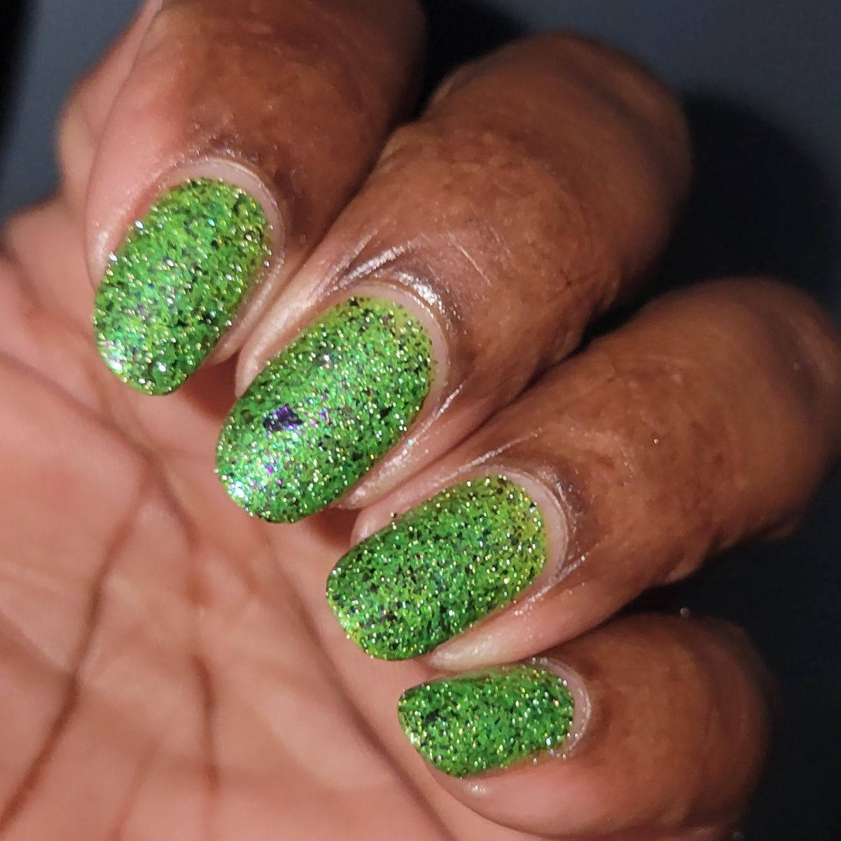 SPIKES & SCALES (Reflective) JUNE COG OF THE MONTH