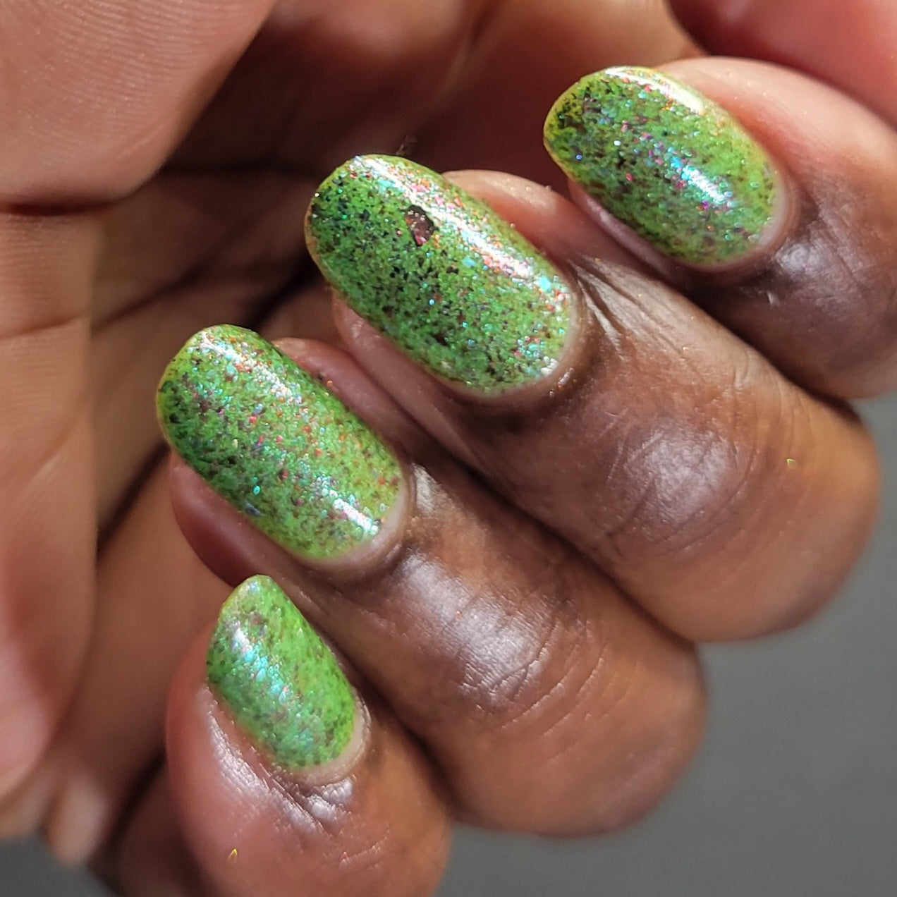 SPIKES & SCALES (Reflective) JUNE COG OF THE MONTH