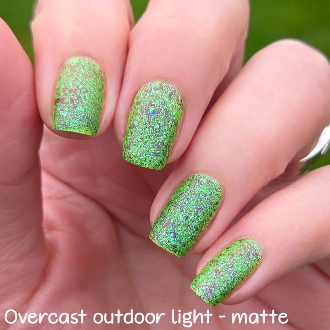 SPIKES & SCALES (Reflective) JUNE COG OF THE MONTH