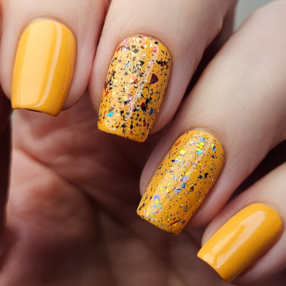 TROPICAL HOLIDAY (FULL COLLECTION)