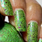 SPIKES & SCALES (Reflective) JUNE COG OF THE MONTH