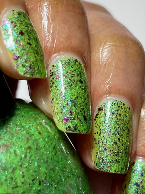 SPIKES & SCALES (Reflective) JUNE COG OF THE MONTH