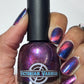 RAZZED MY DAZZLE (MAGNETIC)