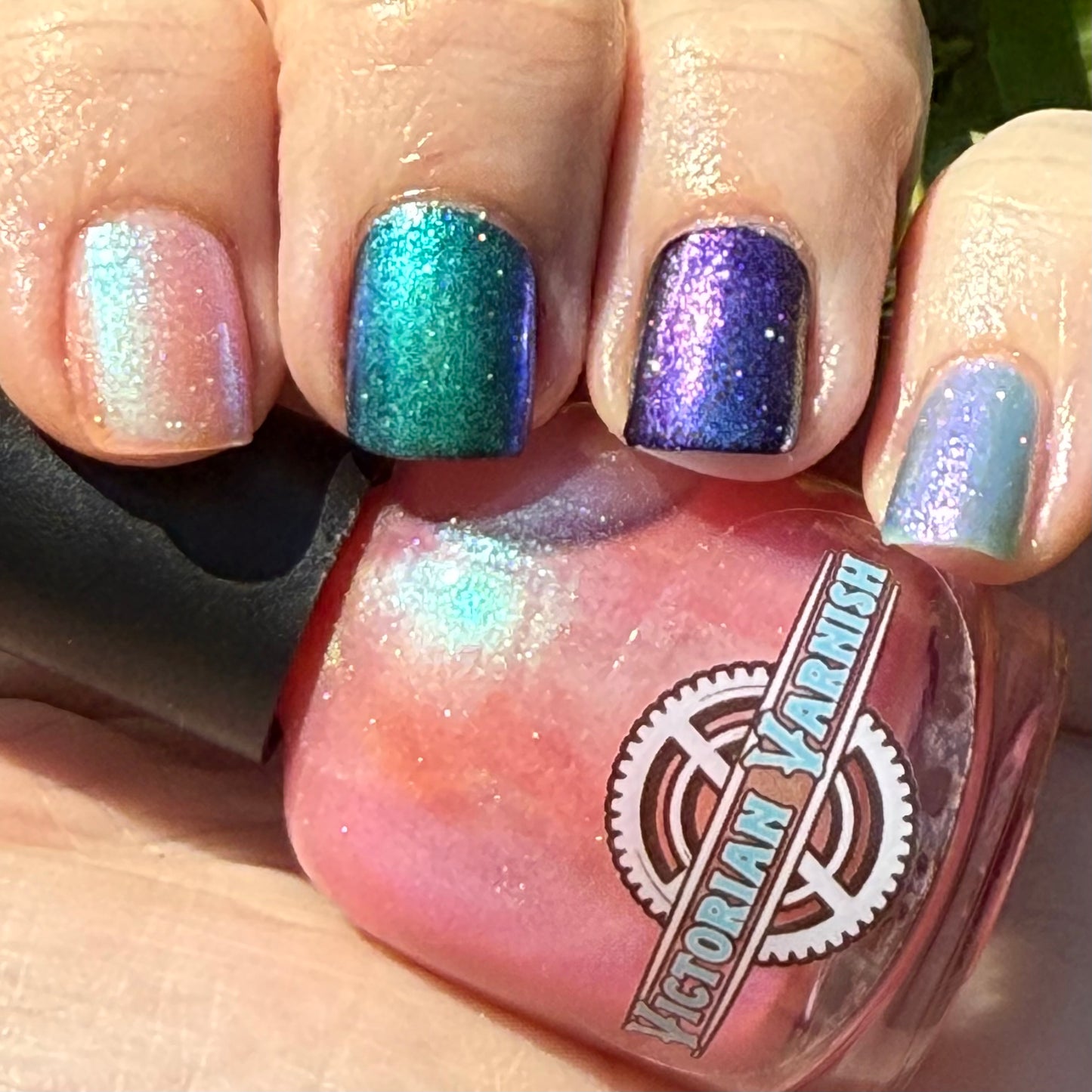 FLUTTER FEST DUO