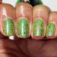 SPIKES & SCALES (Reflective) JUNE COG OF THE MONTH