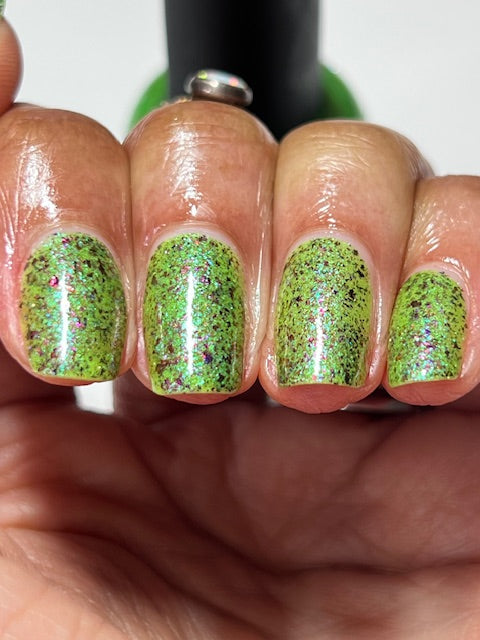 SPIKES & SCALES (Reflective) JUNE COG OF THE MONTH