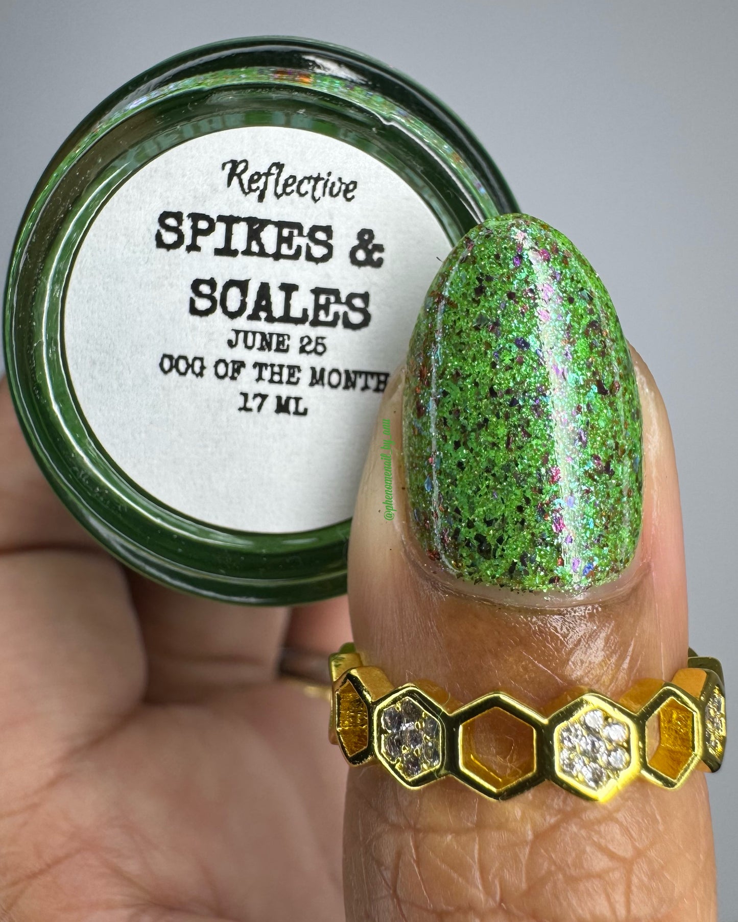 SPIKES & SCALES (Reflective) JUNE COG OF THE MONTH