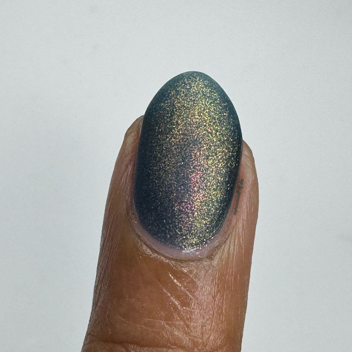 MIDNIGHT MYSTIC HYACINTH