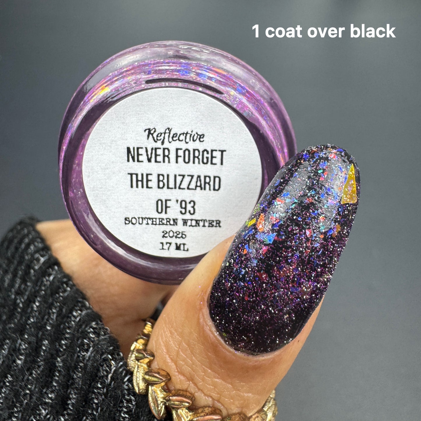 NEVER FORGET THE BLIZZARD OF '93 (REFLECTIVE)