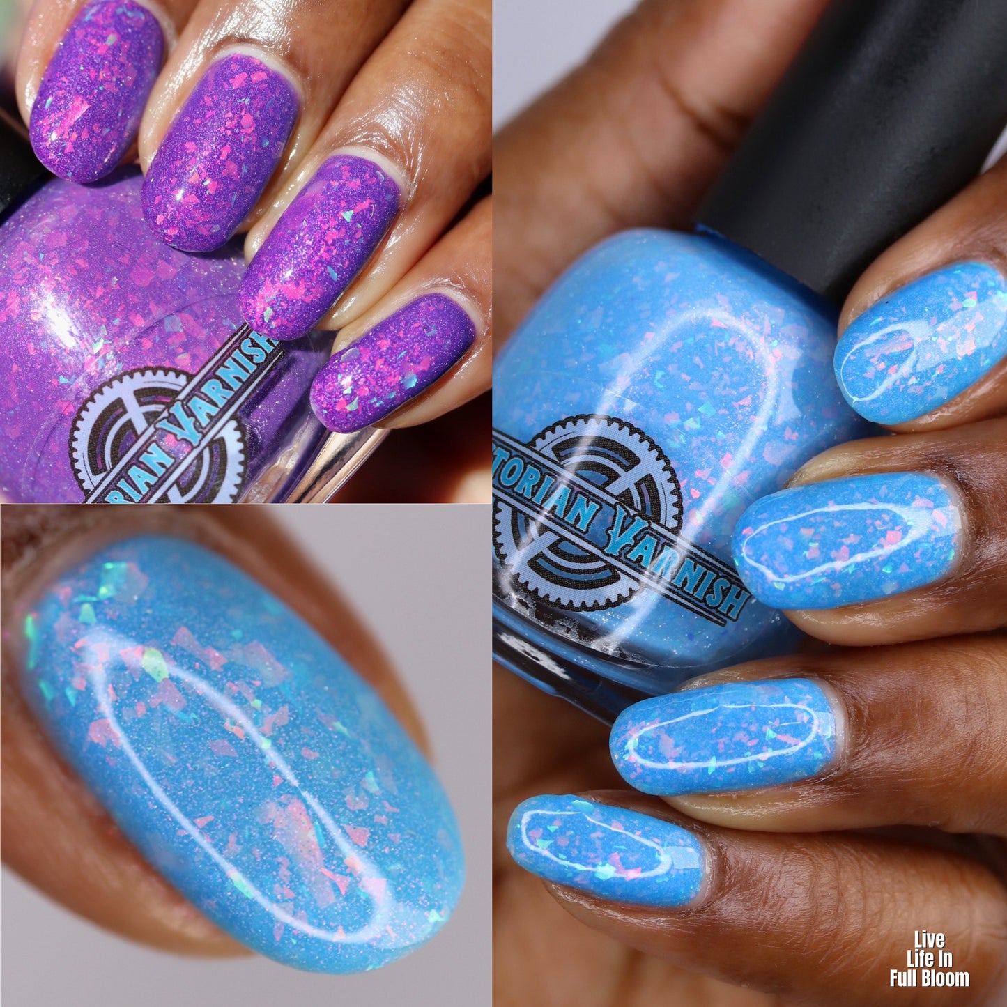 LIVE LIFE IN FULL BLOOM (SOLAR) MAR COG OF THE MONTH